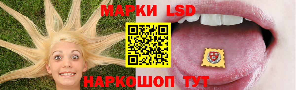 LSD-25 экстази  Вход с VPN  Арзамас  ЛСД экстази ecstasy 