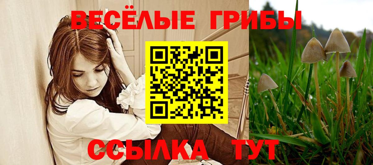 Арзамас  Псилоцибиновые грибы Psilocybine cubensis  Вход с VPN 