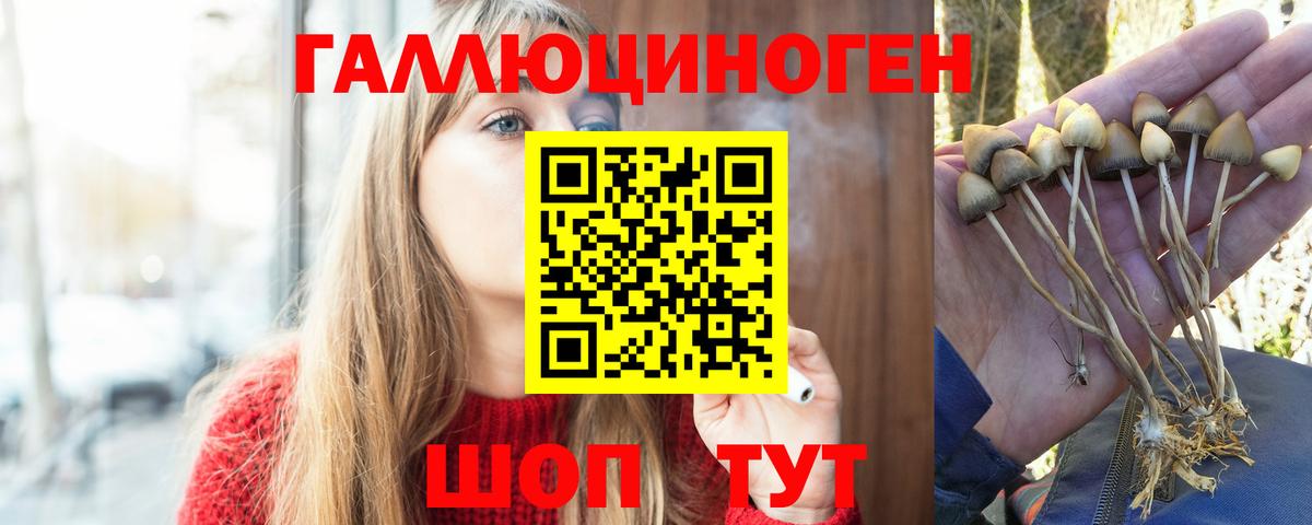 Галлюциногенные грибы прущие грибы Арзамас